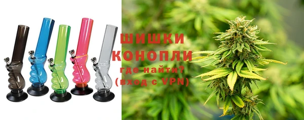 гидра Аркадак