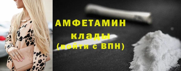 шишки Балахна