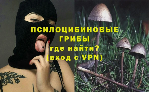 шишки Балахна