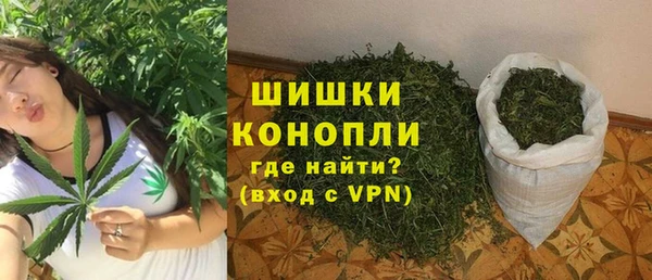 гидра Аркадак