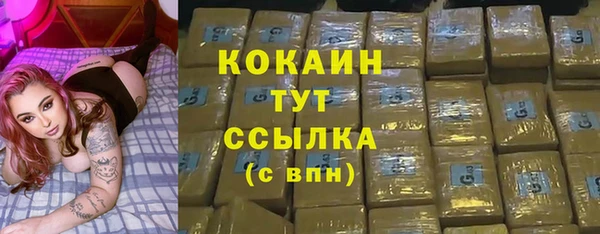 шишки Балахна